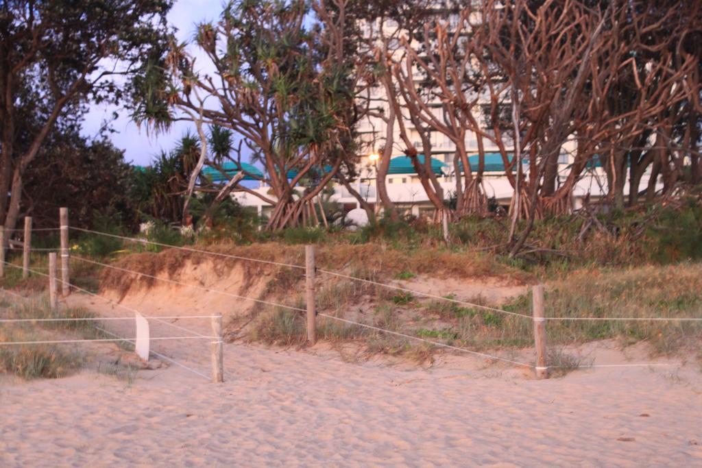 Camargue Beachfront Apartments Maroochydore Exterior foto